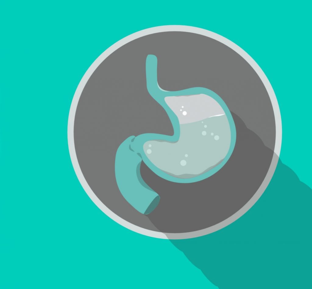 gastritis alimentos permitidos