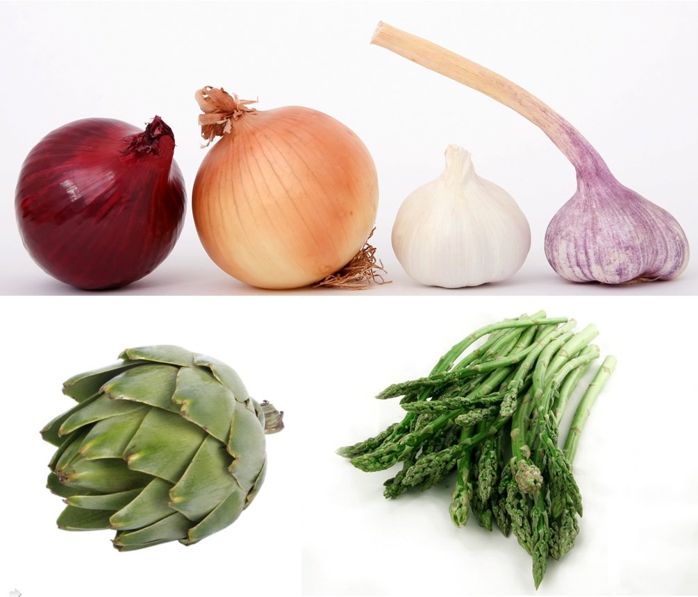 alimentos prebioticos