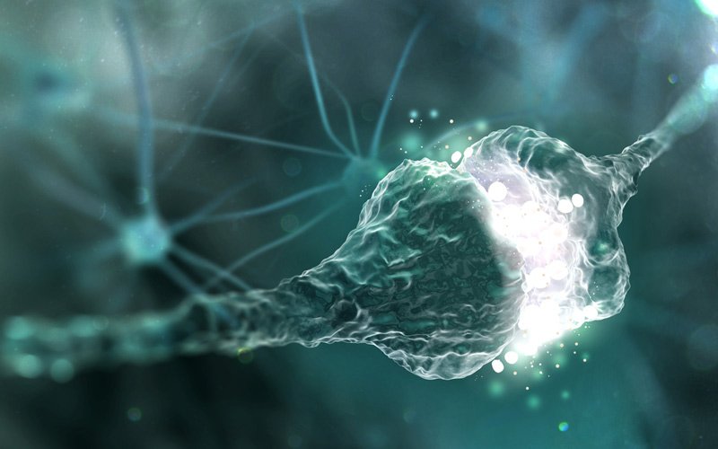 noreprefina vs dopamina vs serotonina