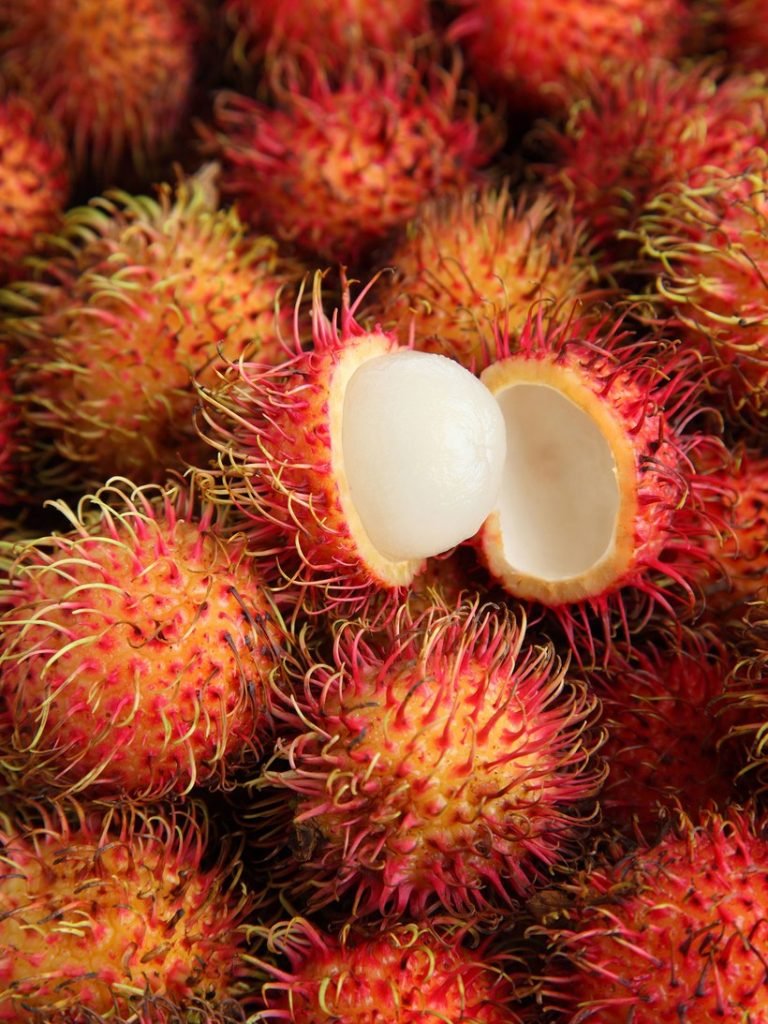 frutas sin carbohidratos bajas