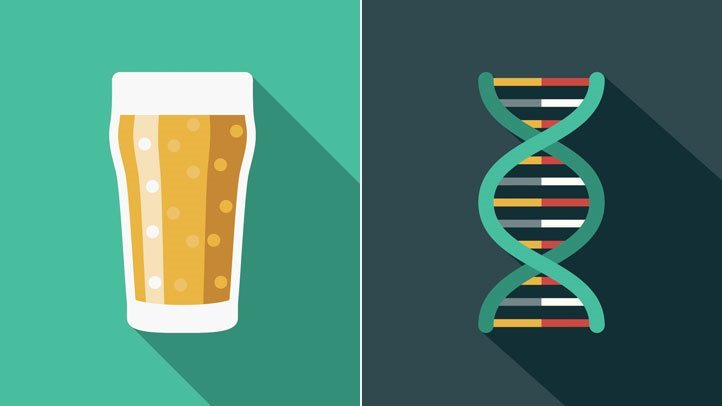 alcohol y metabolismo