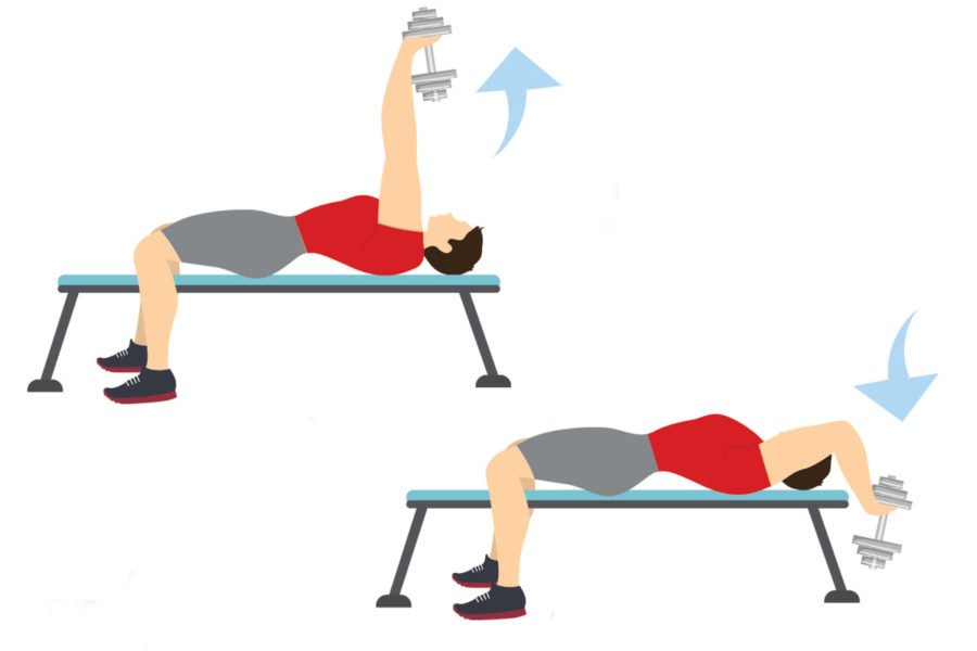 rutinas de musculacion