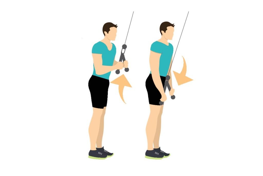 ejercicios para triceps gimnasio