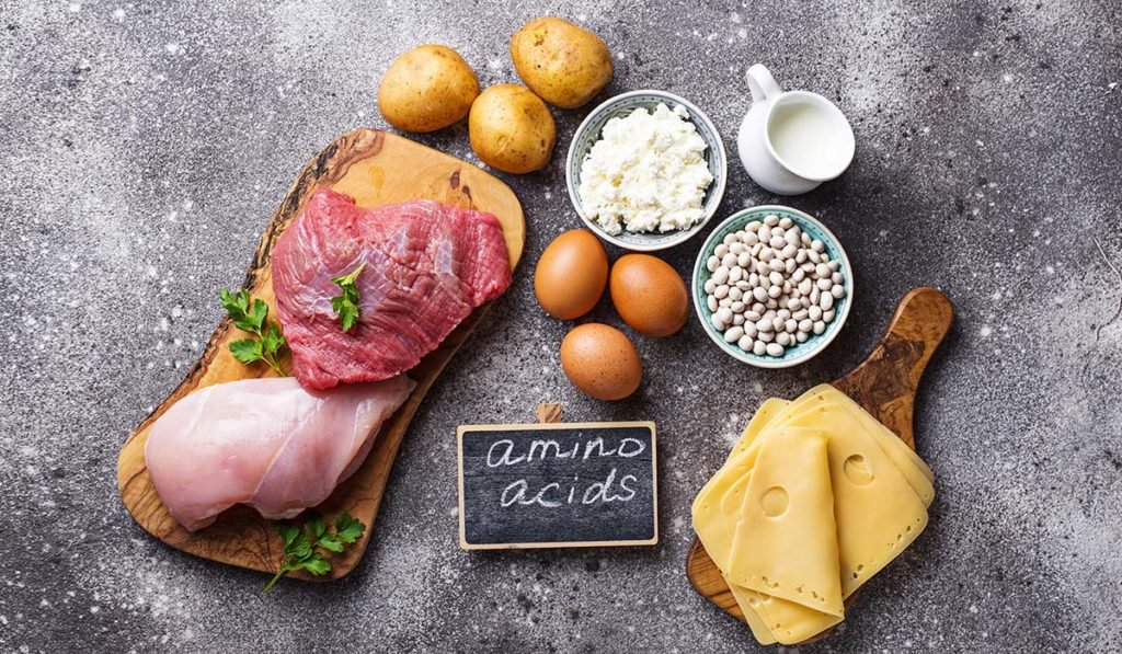 alimentos con aminoacidos esenciales