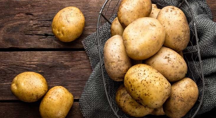 alimentos prohibidos dieta keto