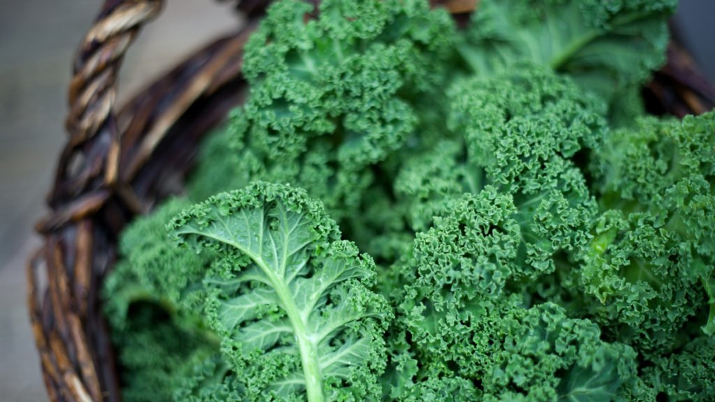 alimentos verdes kale