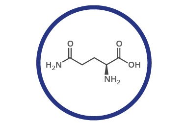 glutamina que es usos como tomar suplementos