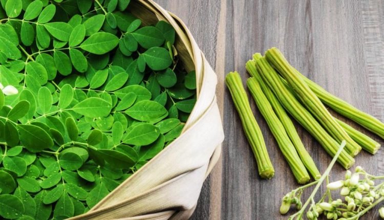 moringa perder peso