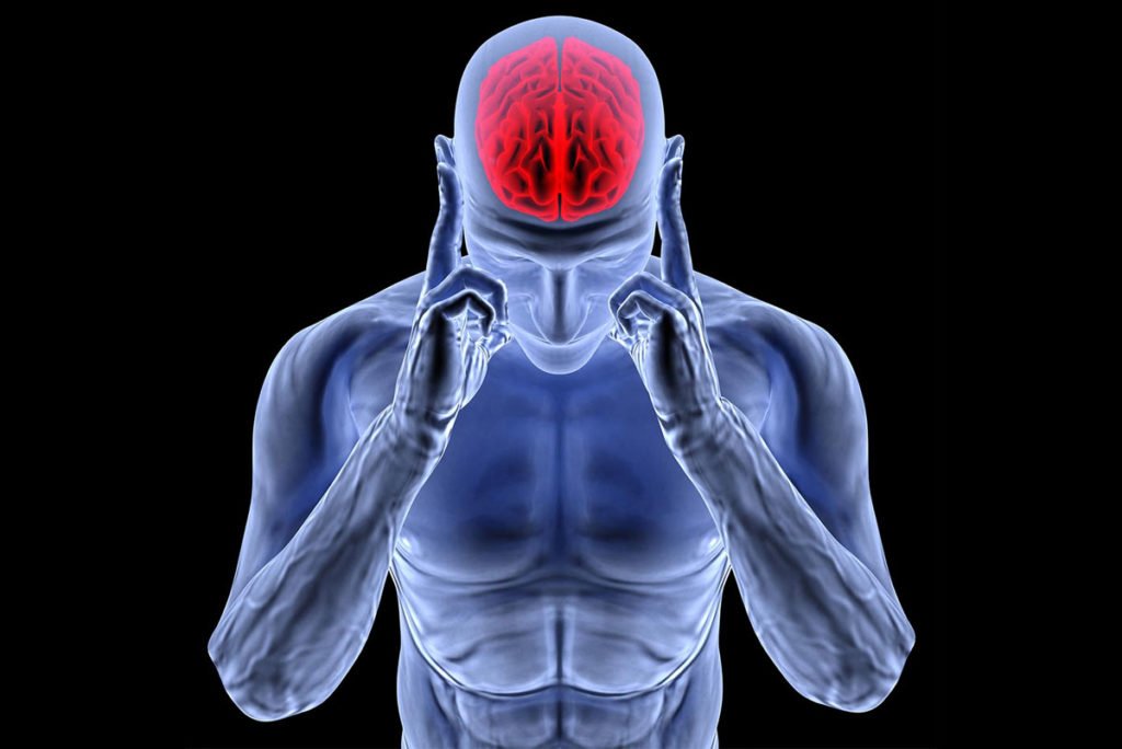 conexion neuromuscular