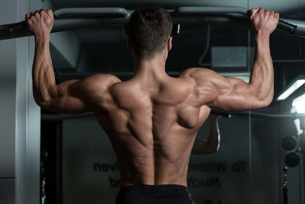 ejercicios de musculacion de espalda sin aparatos