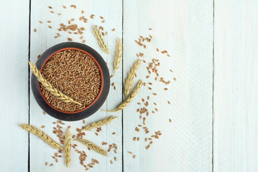 indice glucemico cereales cebada