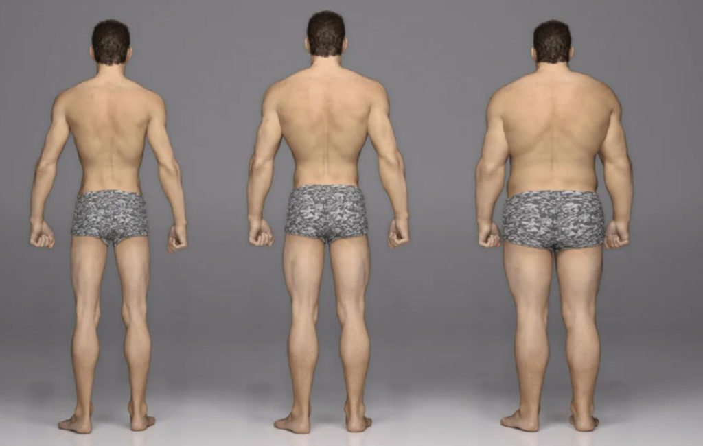 tipos de cuerpo complexión física
