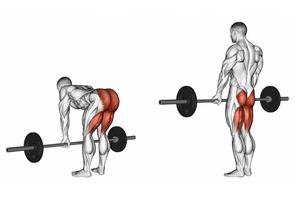 musculos al hacer peso muerto con barra