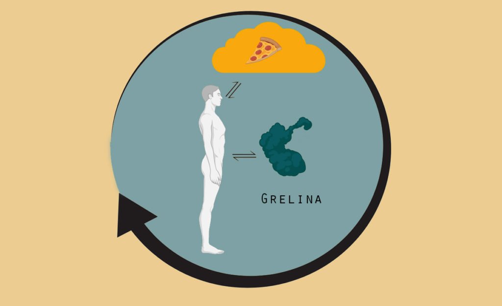 grelina que es