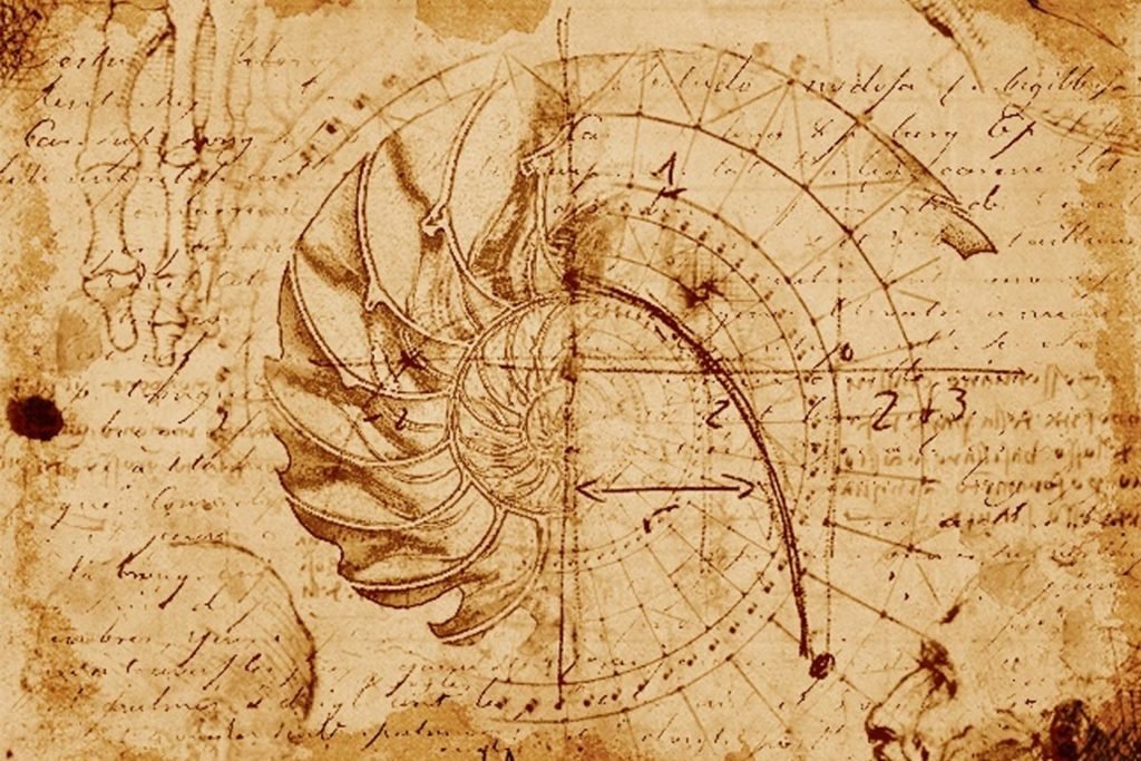 hormona del crecimiento y envejecimiento
